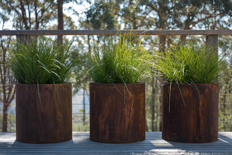 Злаки в контейнерах