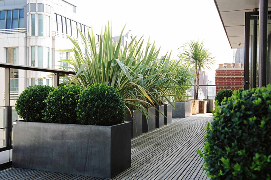 Контейнерное Озеленение террасы