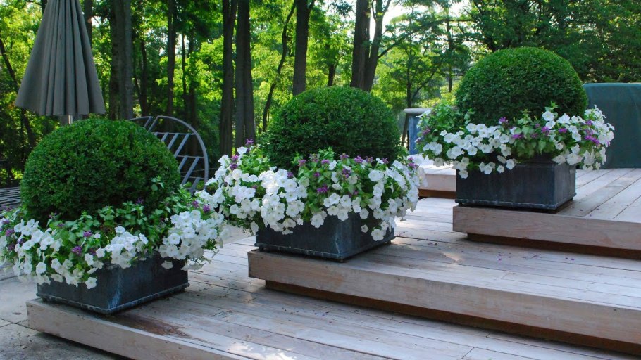 Контейнерное Озеленение