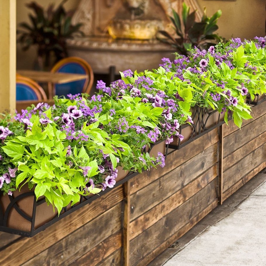 Контейнерное Озеленение