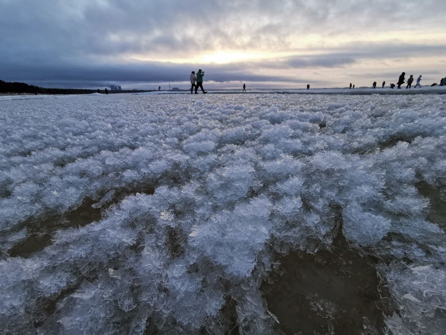 Период вегетации растений таблица
