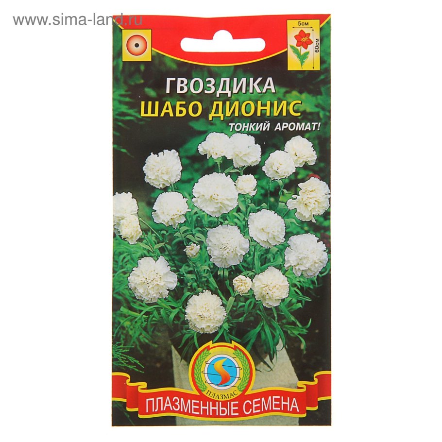 Гвоздика Шабо семена