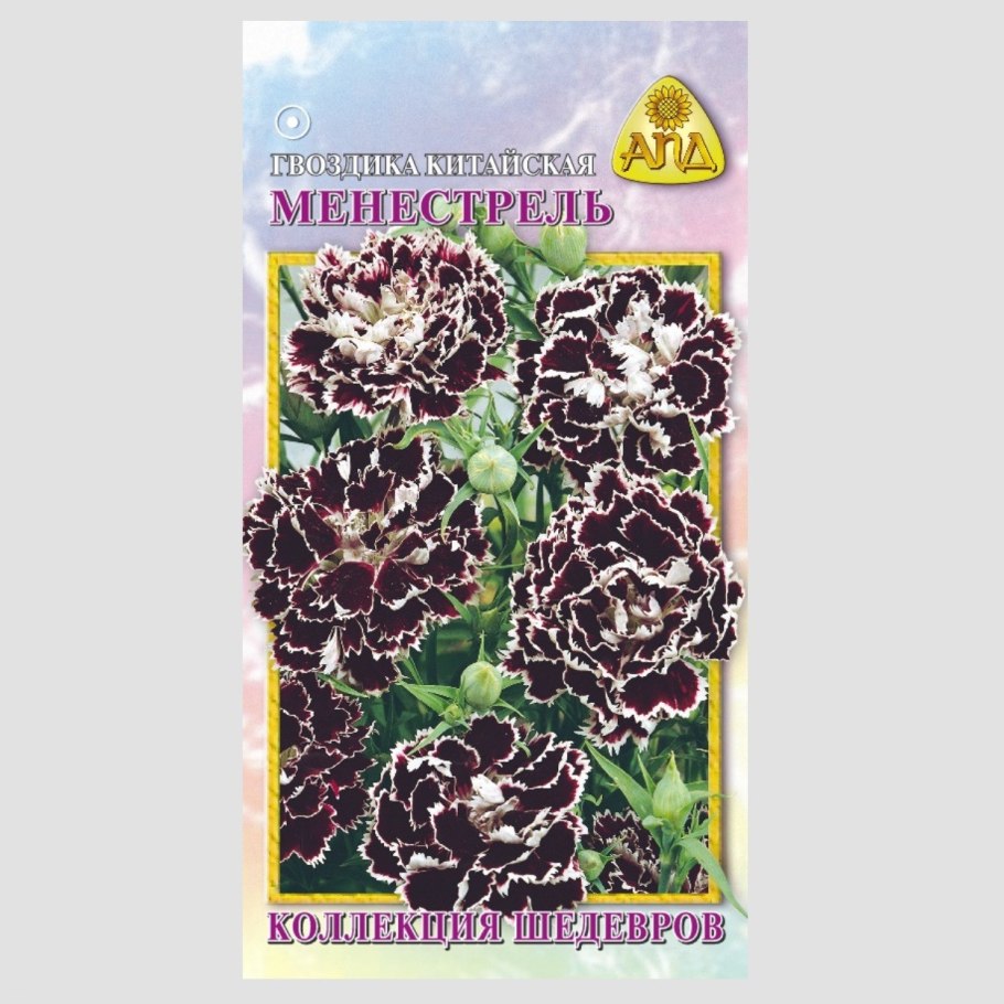 Гвоздика китайская менестрель семена
