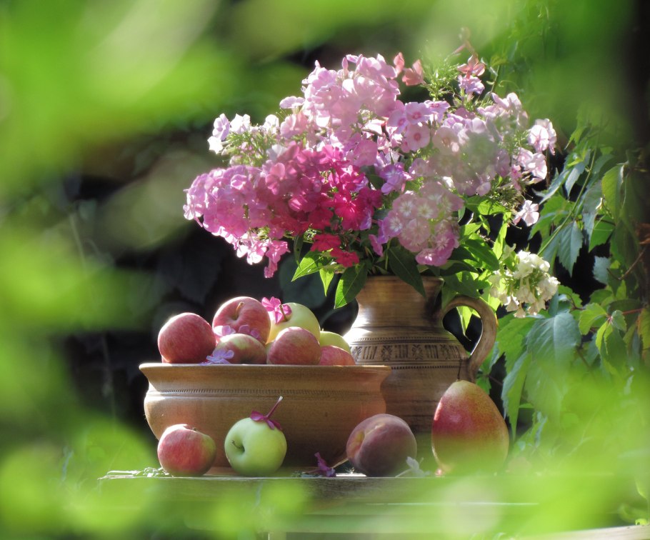 Нежные цветы август