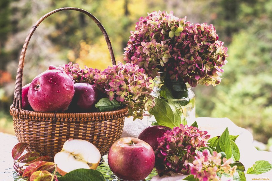 Корзинка с яблоками