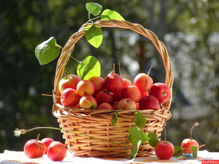 Красивый август