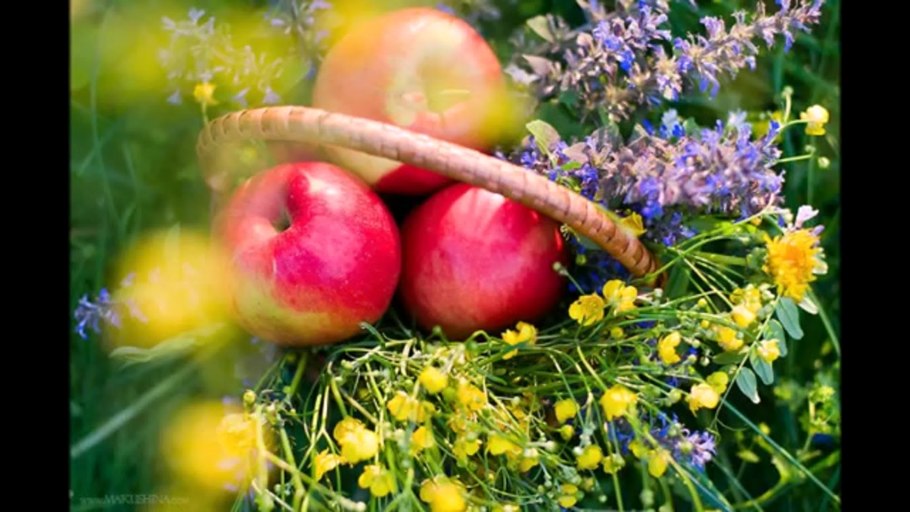 Августовское лето