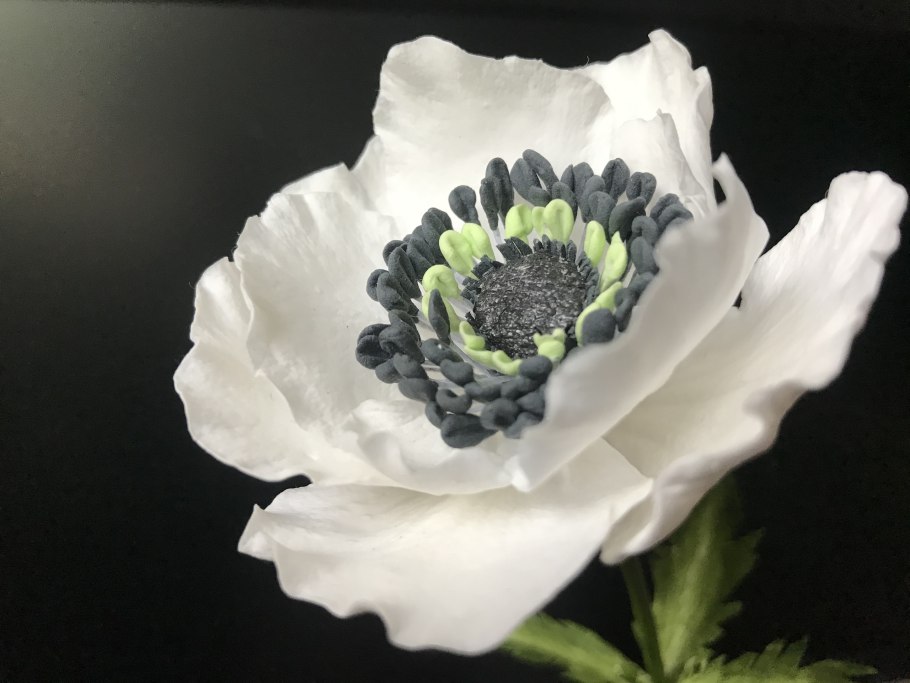 Анемон белоснежная роза морской