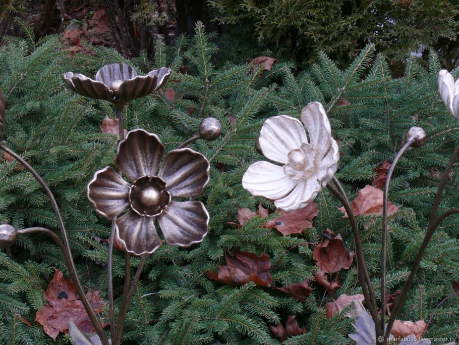 Anemone japonica Pamina