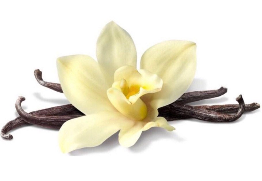 Таитянская ваниль