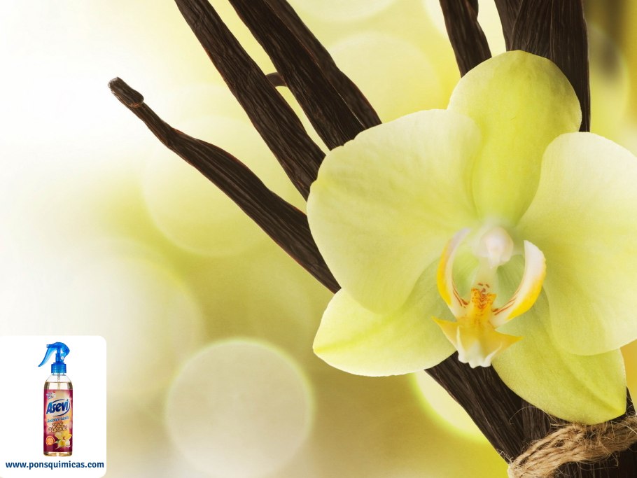 Ваниль плосколистная