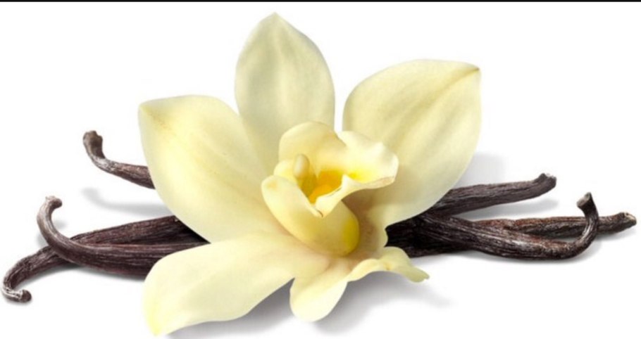 Орхидея ваниль плосколистная