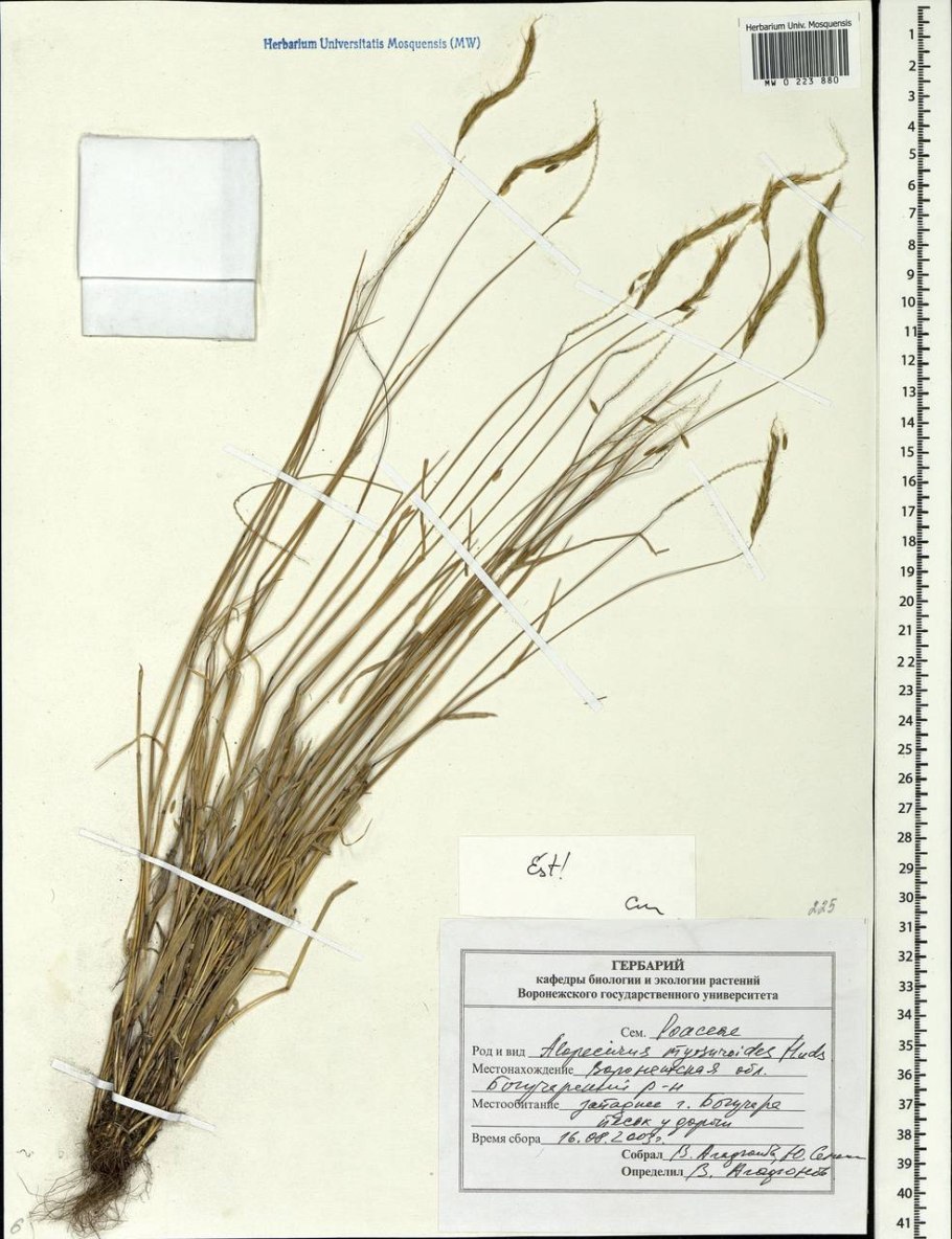 Nn-df383bzpe (инверторная)