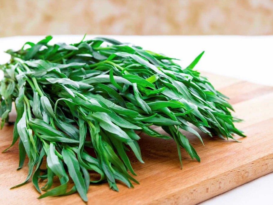 Полынь эстрагон