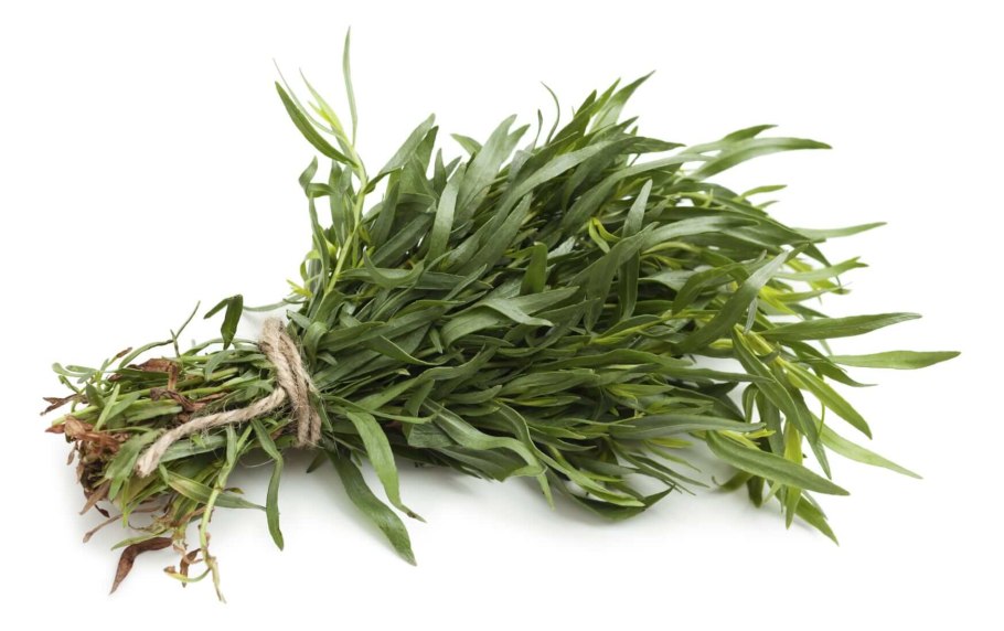 Эстрагон зелень