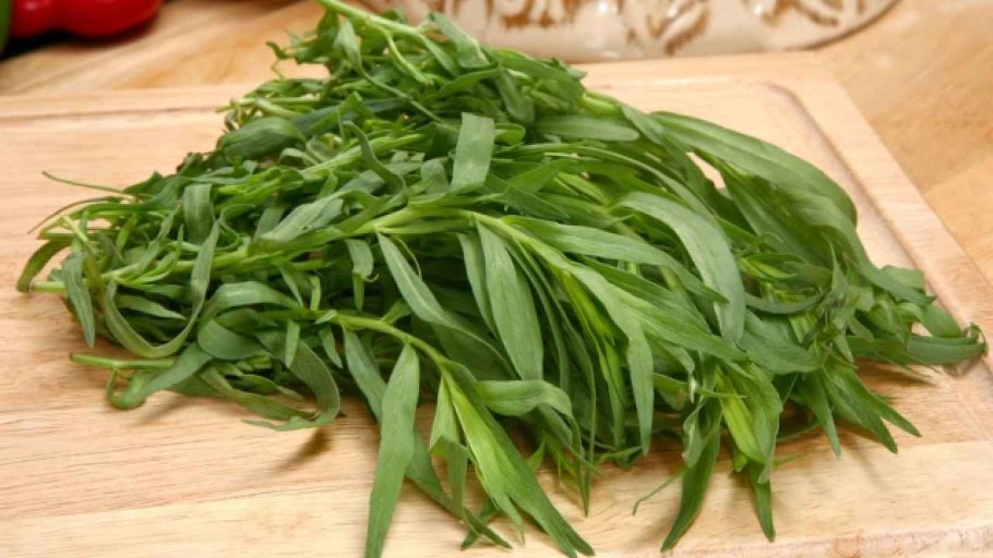 Тархун и базилик