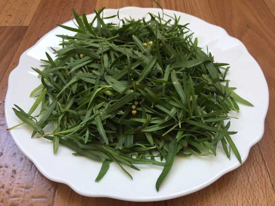 Эстрагон Драгун-трава