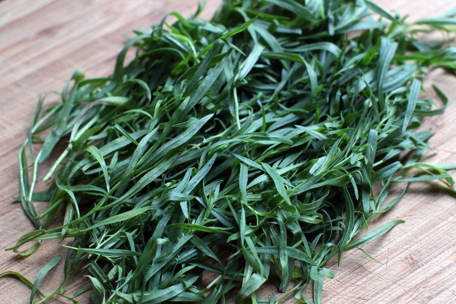 Тархун эстрагон куст