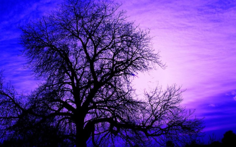 Друид варкрафт арт