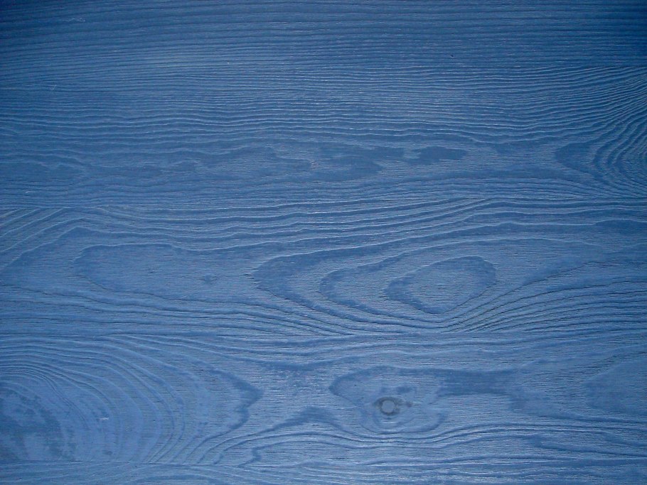 Волшебный лес