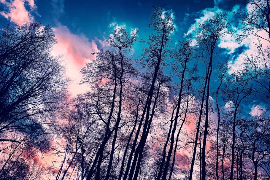 Небо цвета индиго