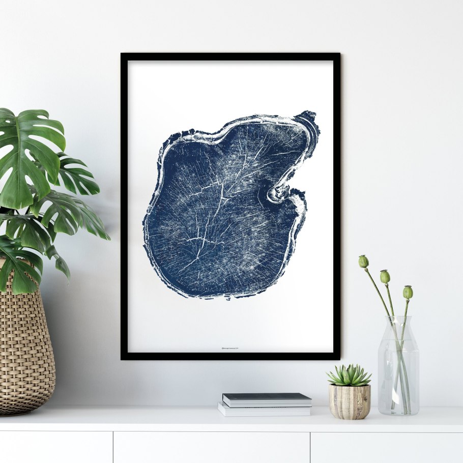 Стая индиго