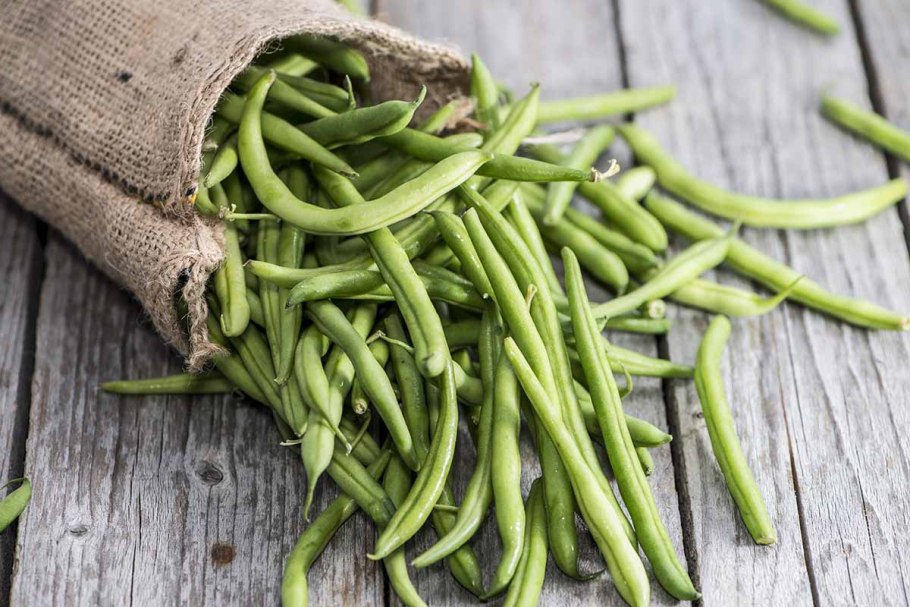 Вигна китайская, коровий горох (