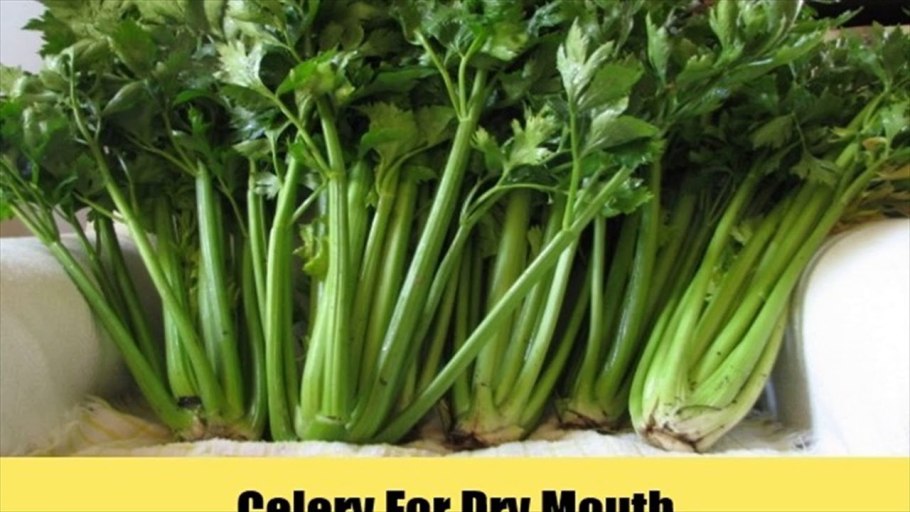 Сельдерей черешковый малахит