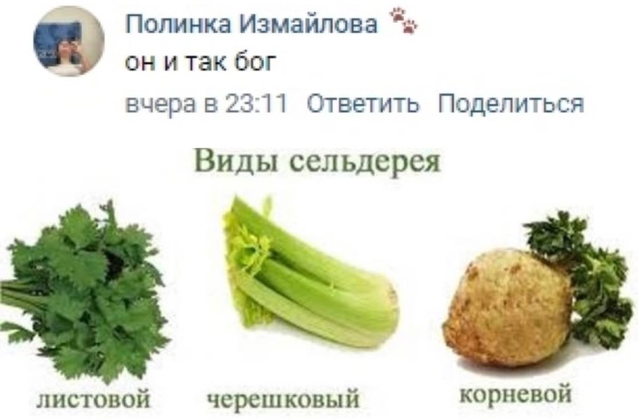 Сельдерей стебель КНР