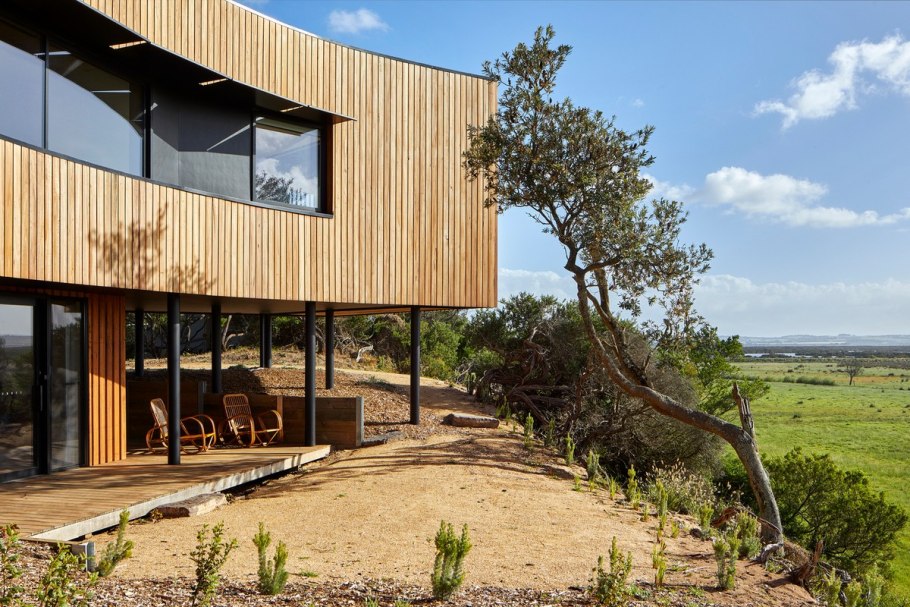 Красивые цветущие деревья .Австралии.