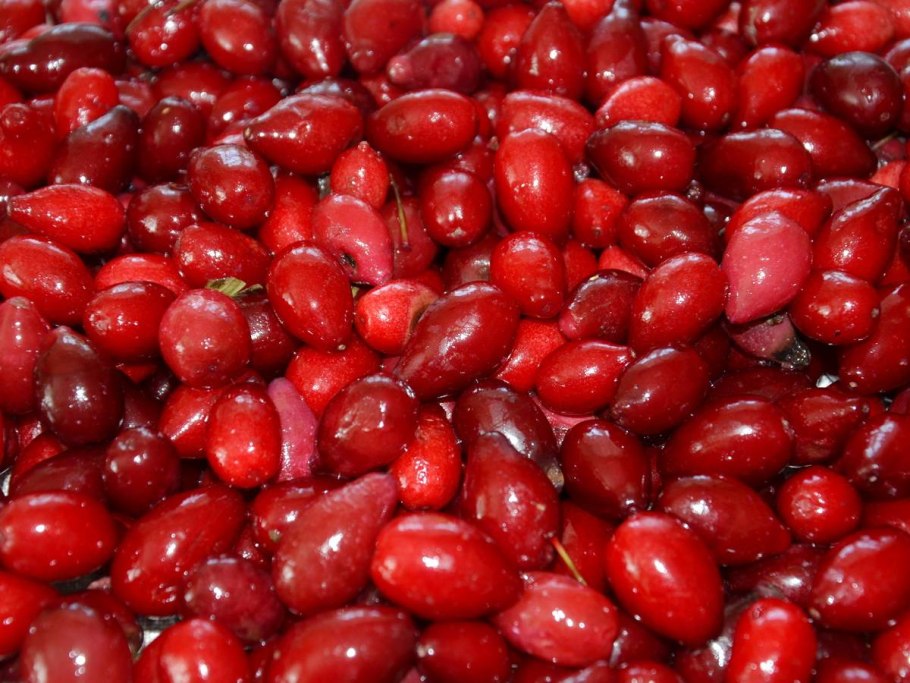 Кизил ягода на белом фоне