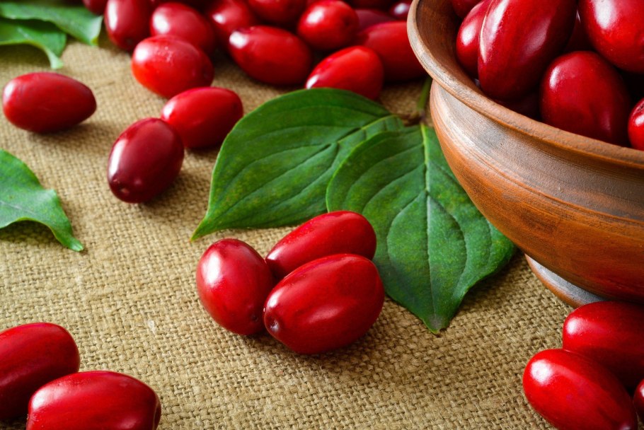 Кизил Светлячок