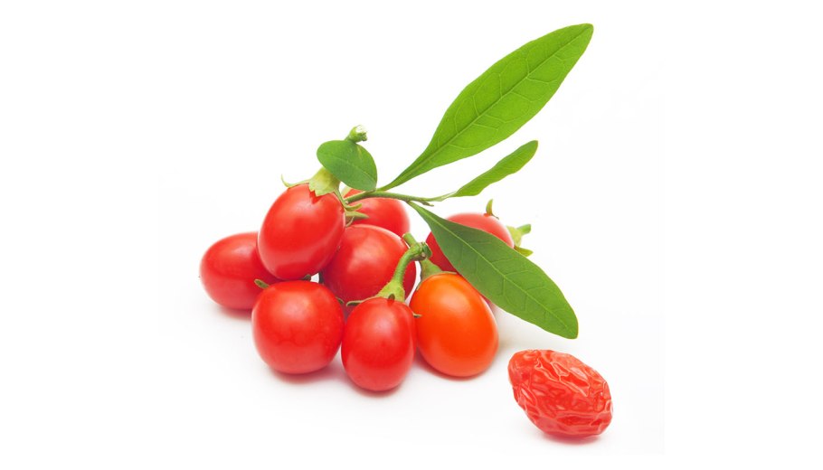 Барбарис обыкновенный колючки