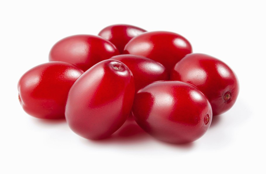 Cornelian Cherry