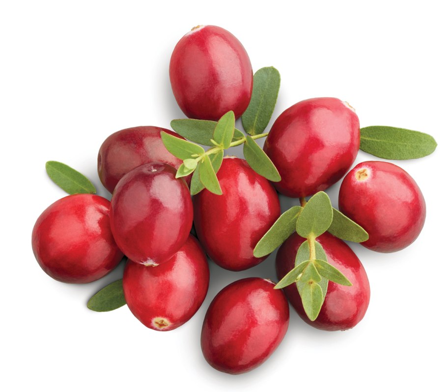 Кизил черри плоды кизила