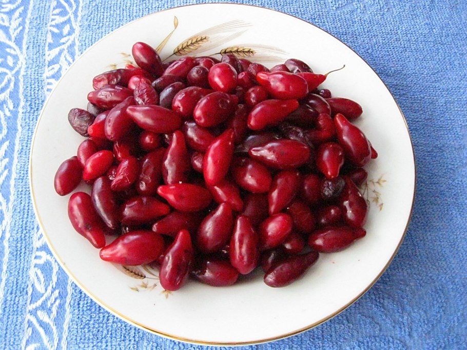 Листья барбариса