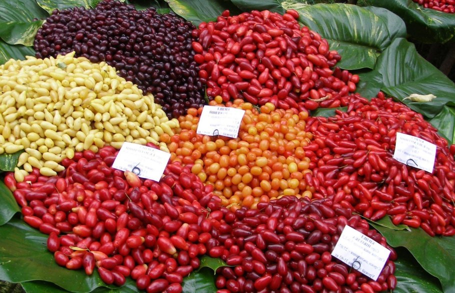 Кизил сорт Владимирский