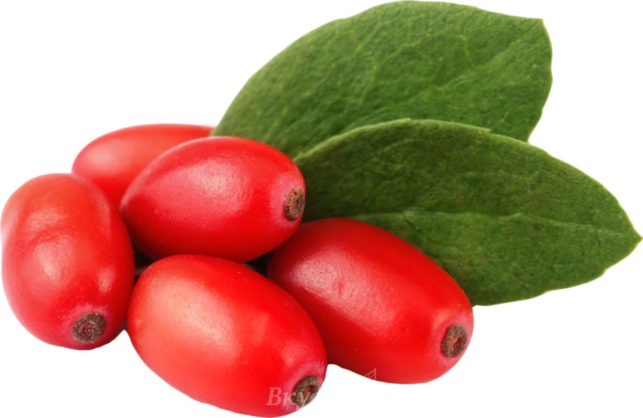 Кизил ягода на белом фоне