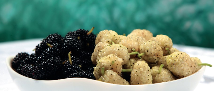 Тутовый дошаб