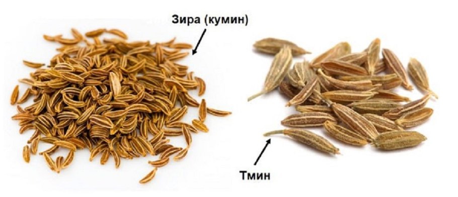 Семена тмина крупный план