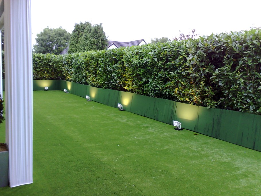 Живая изгородь на участке