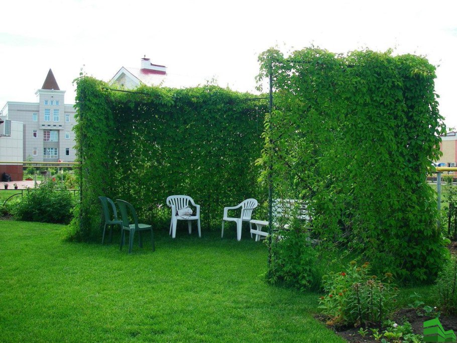 Сад Елены Клоницкой