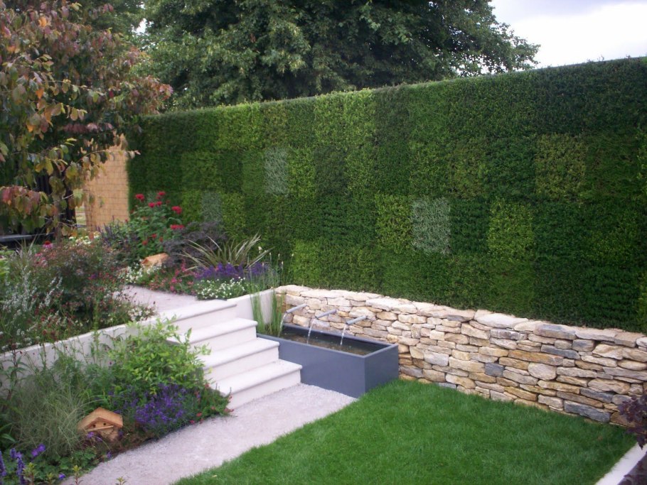 Ландшафт в ограде