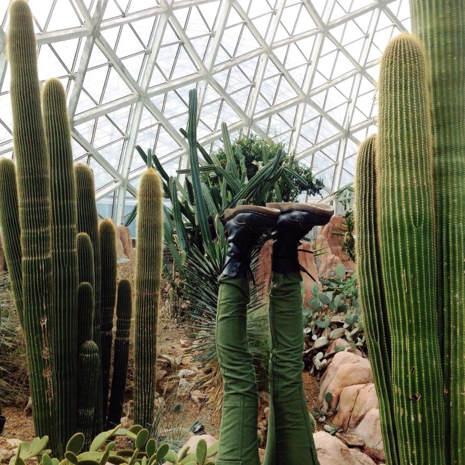 Опунция Эстетика