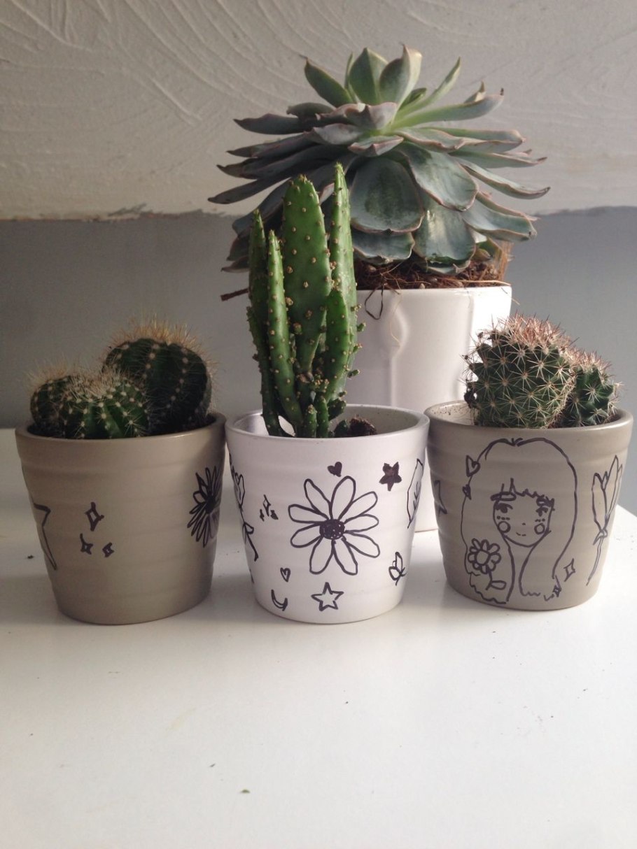 Кактус в горшке Эстетика