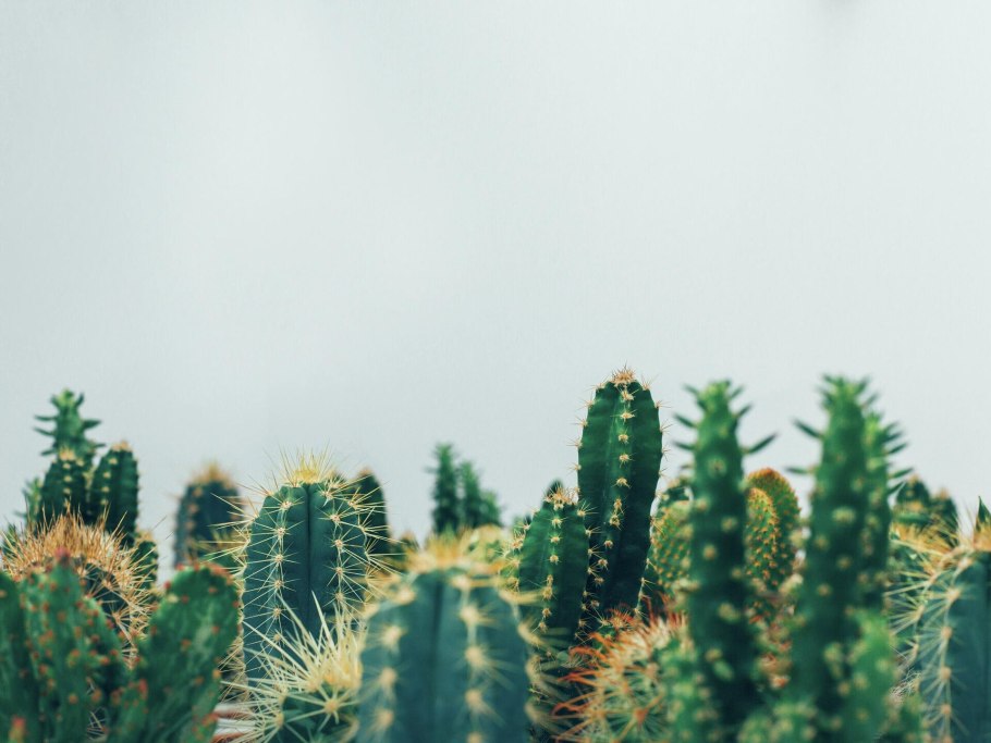 Фон для рабочего стола