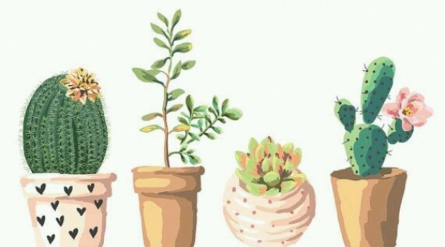 Кактус рисунок