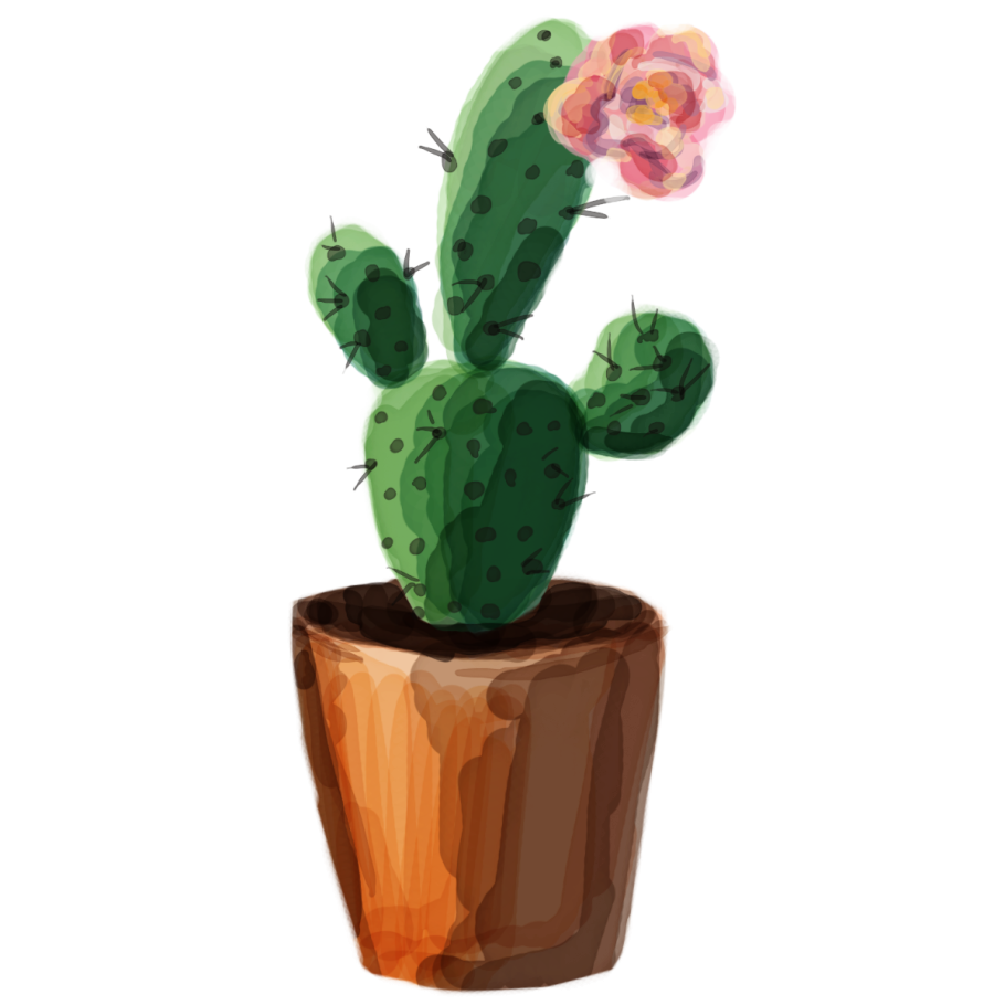 Опунция в горшке