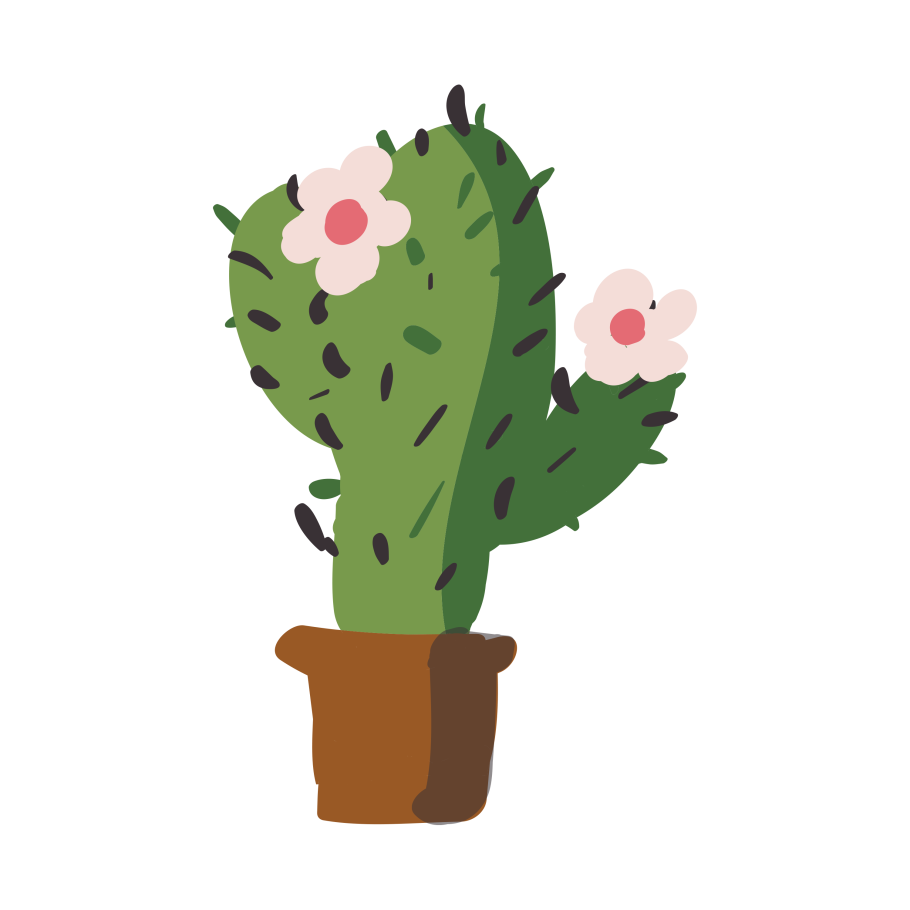 Кактус в белом горшке