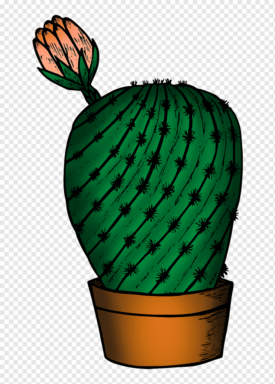 Горшок для суккулентов